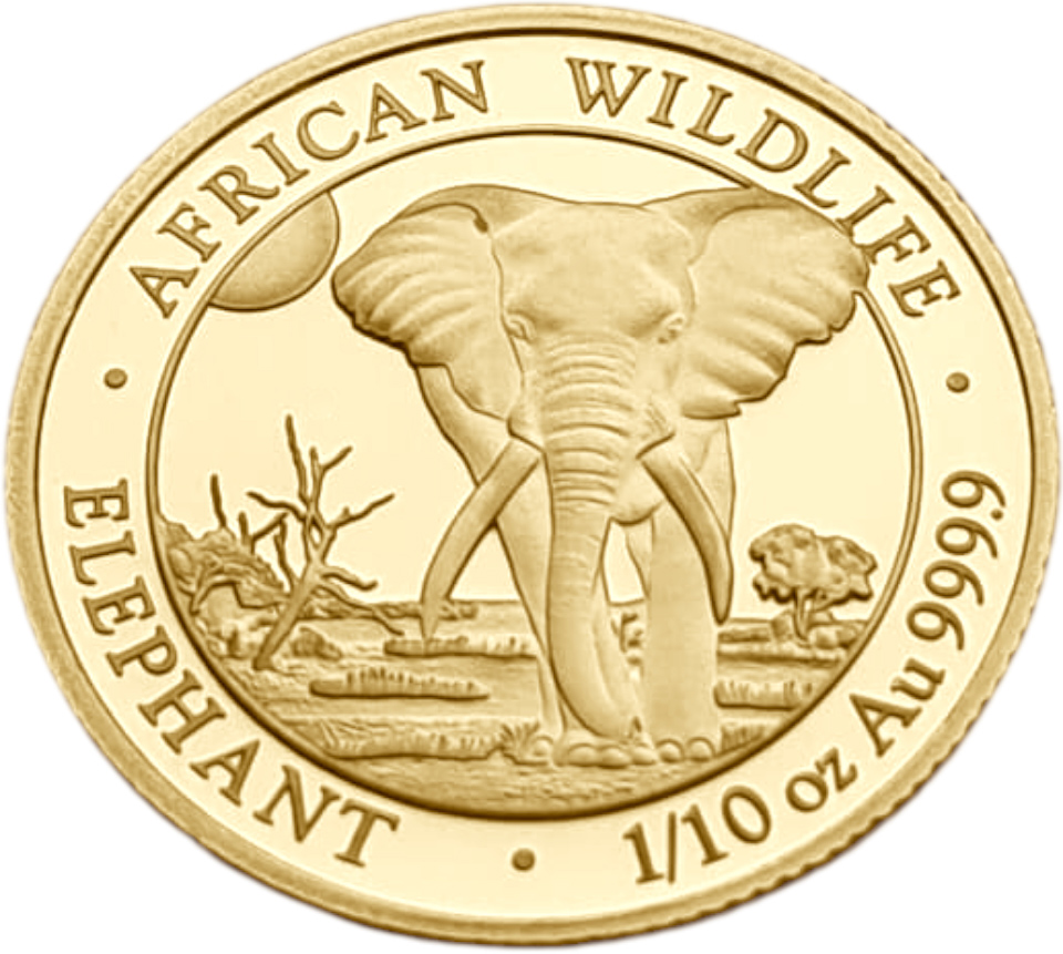 картинка Сомали. 100 Шиллингов 2025 г. Золото. 3.11 г*0.9999 0.1 oz. Слон! Пруф! от магазина Одежда+