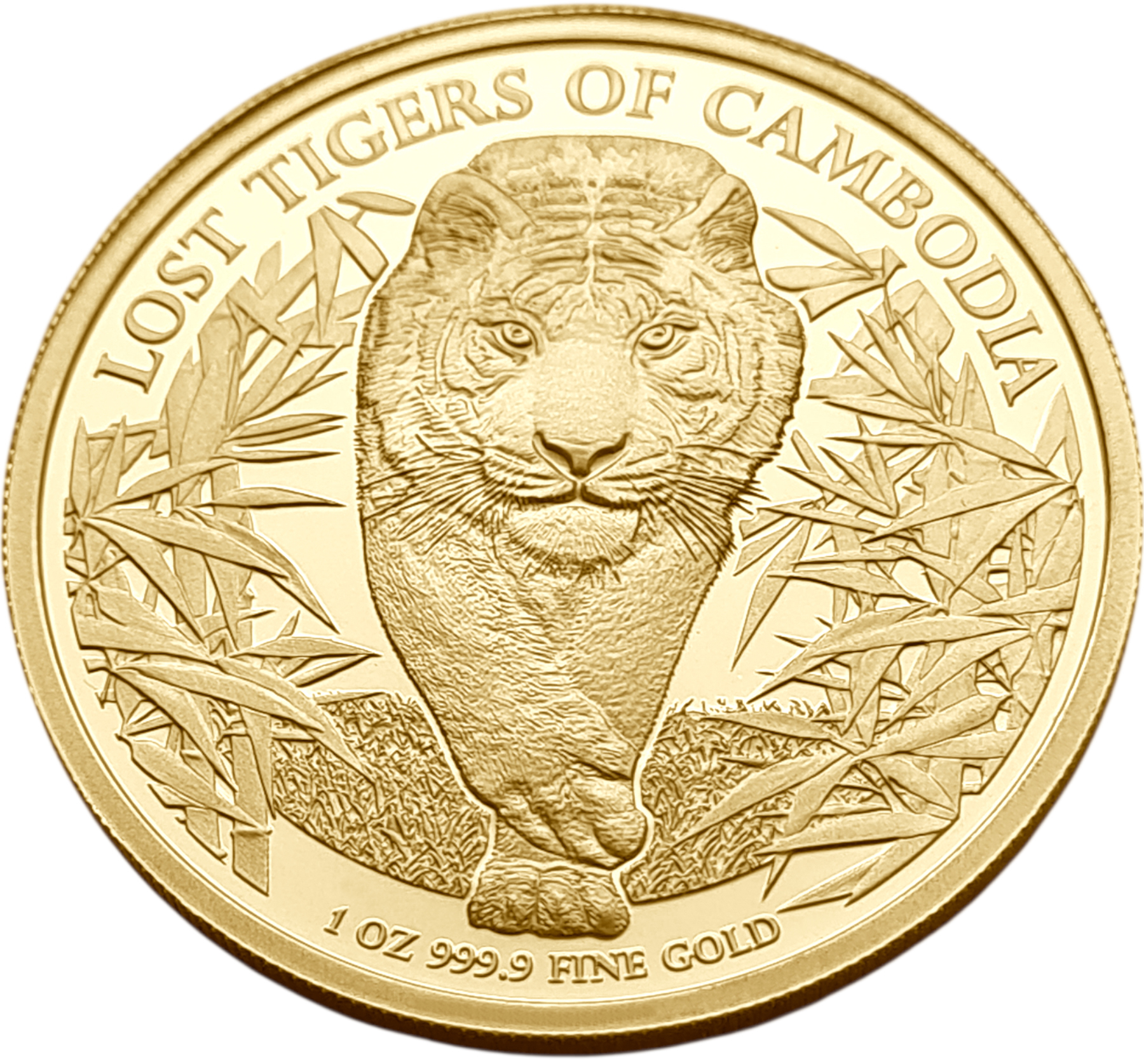 картинка Камбоджа. 30000 Риелей 2026 г. Золото. 31.1 г*0.9999 1.0 oz. Тигры! ТИРАЖ 100 ЭКЗ! от магазина Одежда+