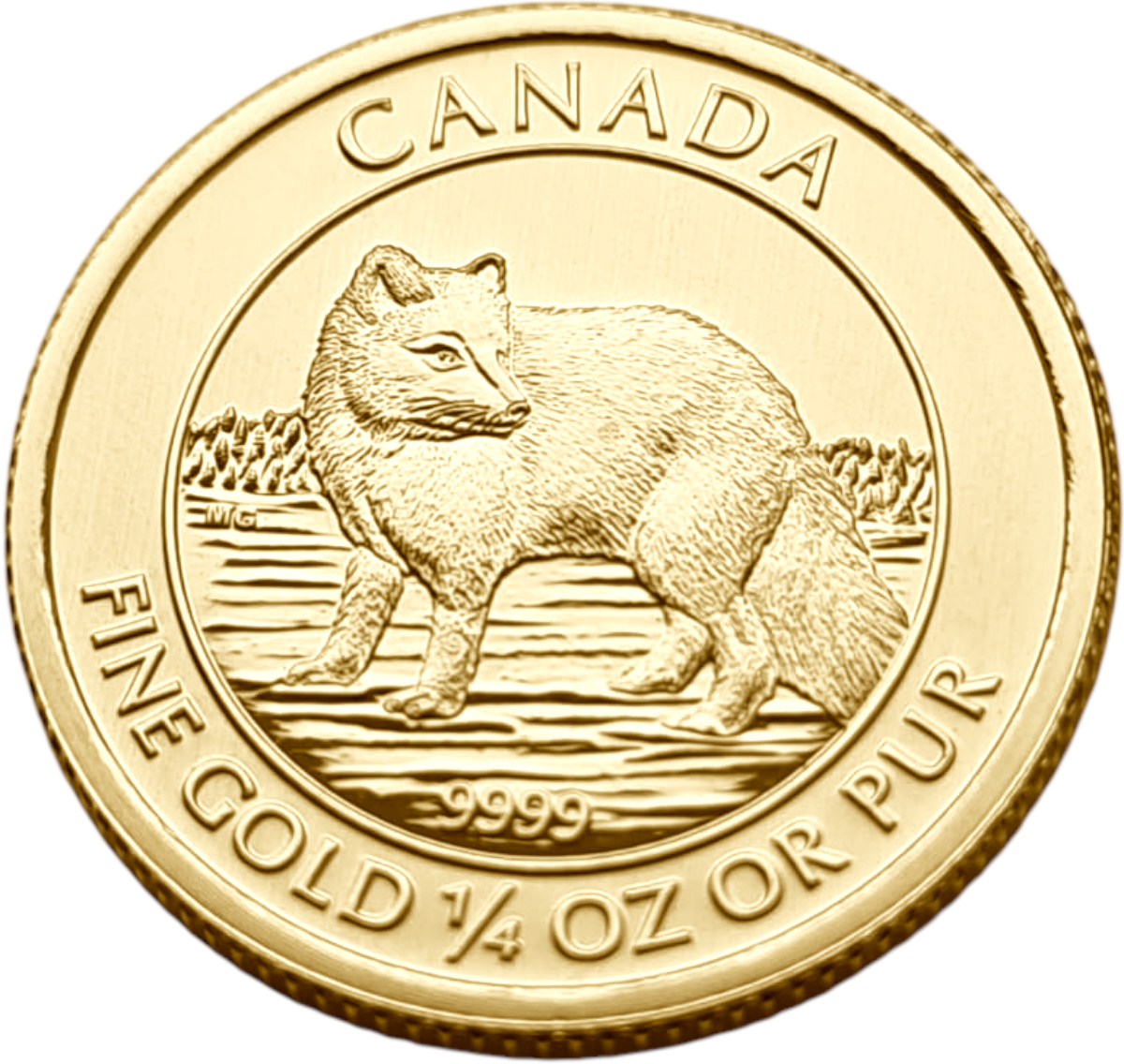 картинка Канада. 10 Долларов 2014 г. Золото. 7.8 г*0.9999 0.2507 oz. Песец! от магазина Одежда+
