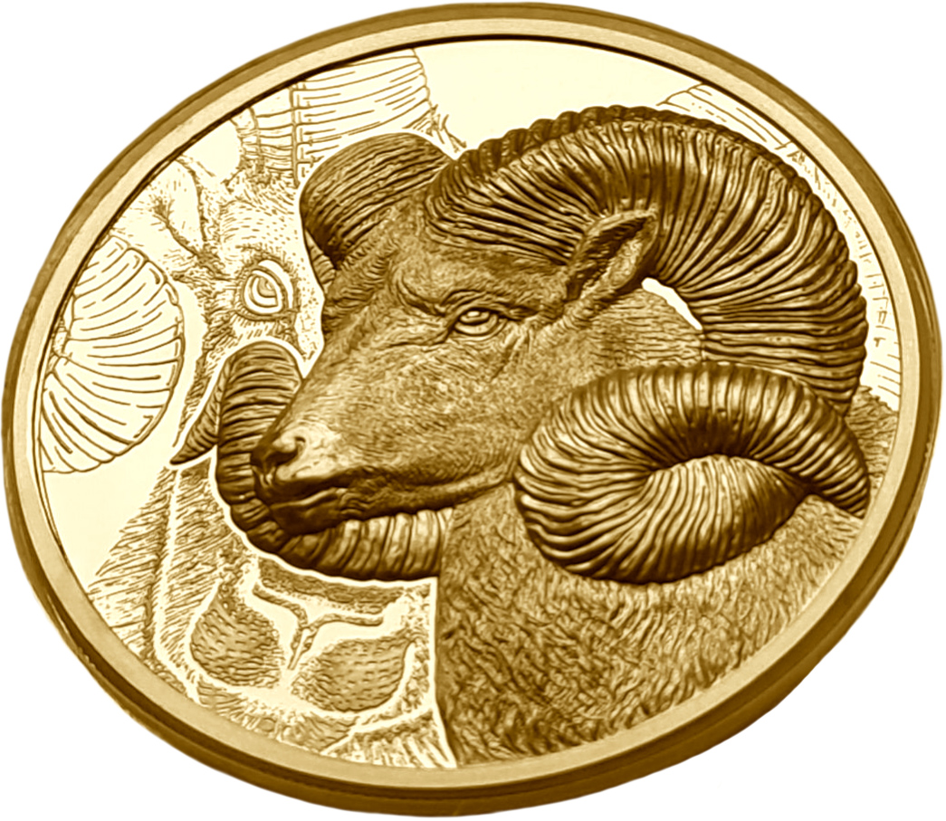 картинка Монголия . 25 000 Тугриков 2022г. Золото. 31.1 г*0.9999 1.0 oz. Архар! Высокий Рельеф! ТИРАЖ 199 ШТ! от магазина Одежда+