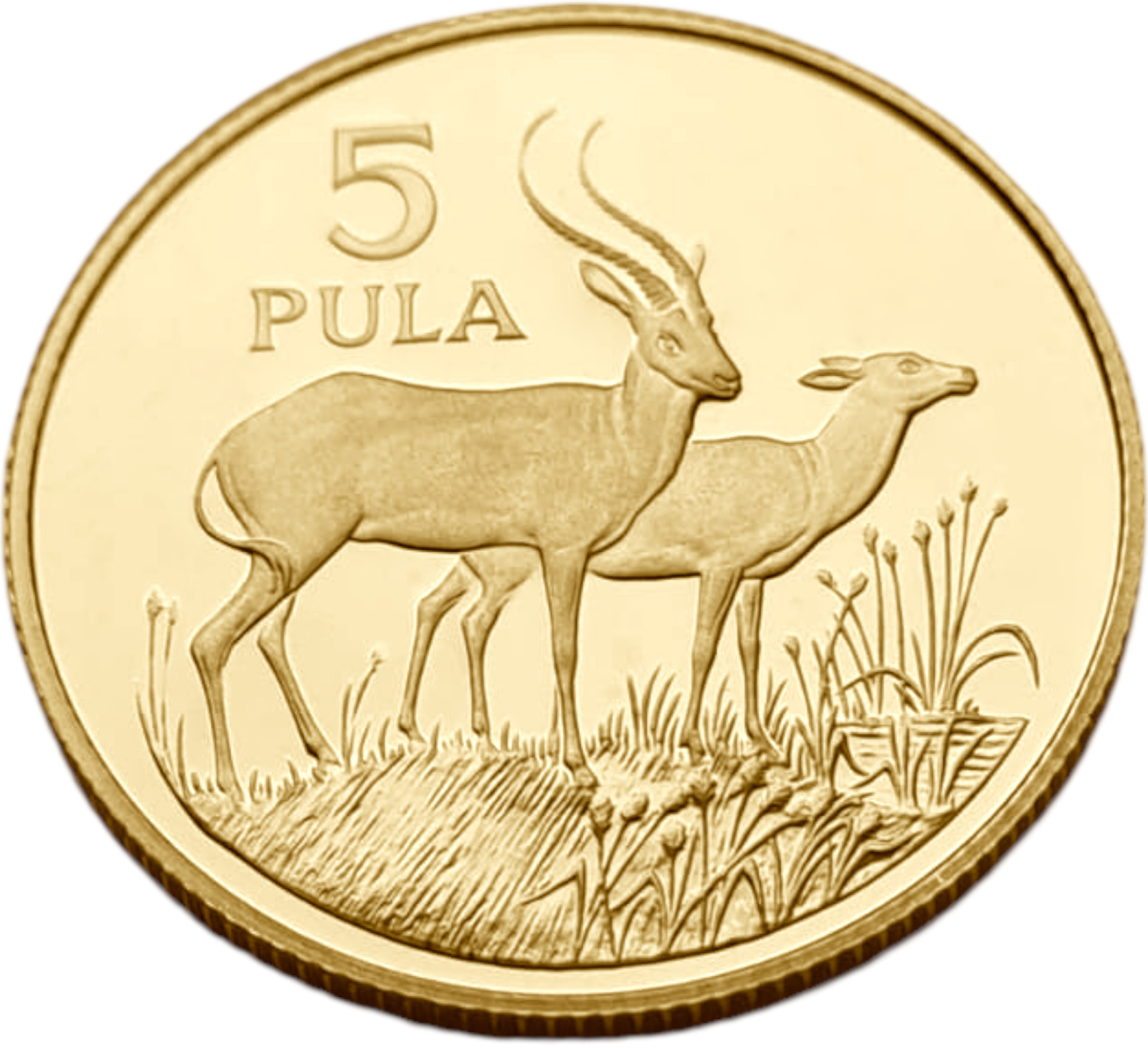 картинка Ботсвана. 5 пула 1986 г. Золото. 15.98 г*0.917 0.4711 oz. от магазина Одежда+