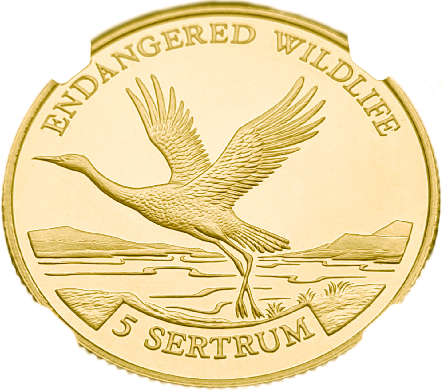 картинка Бутан. 5 Сетрумов 1992 г. Золото. 7.78 г*0.5833 0.1459 oz. СЛАБ NGC PF 69 ULTRA CAMEO! от магазина Одежда+