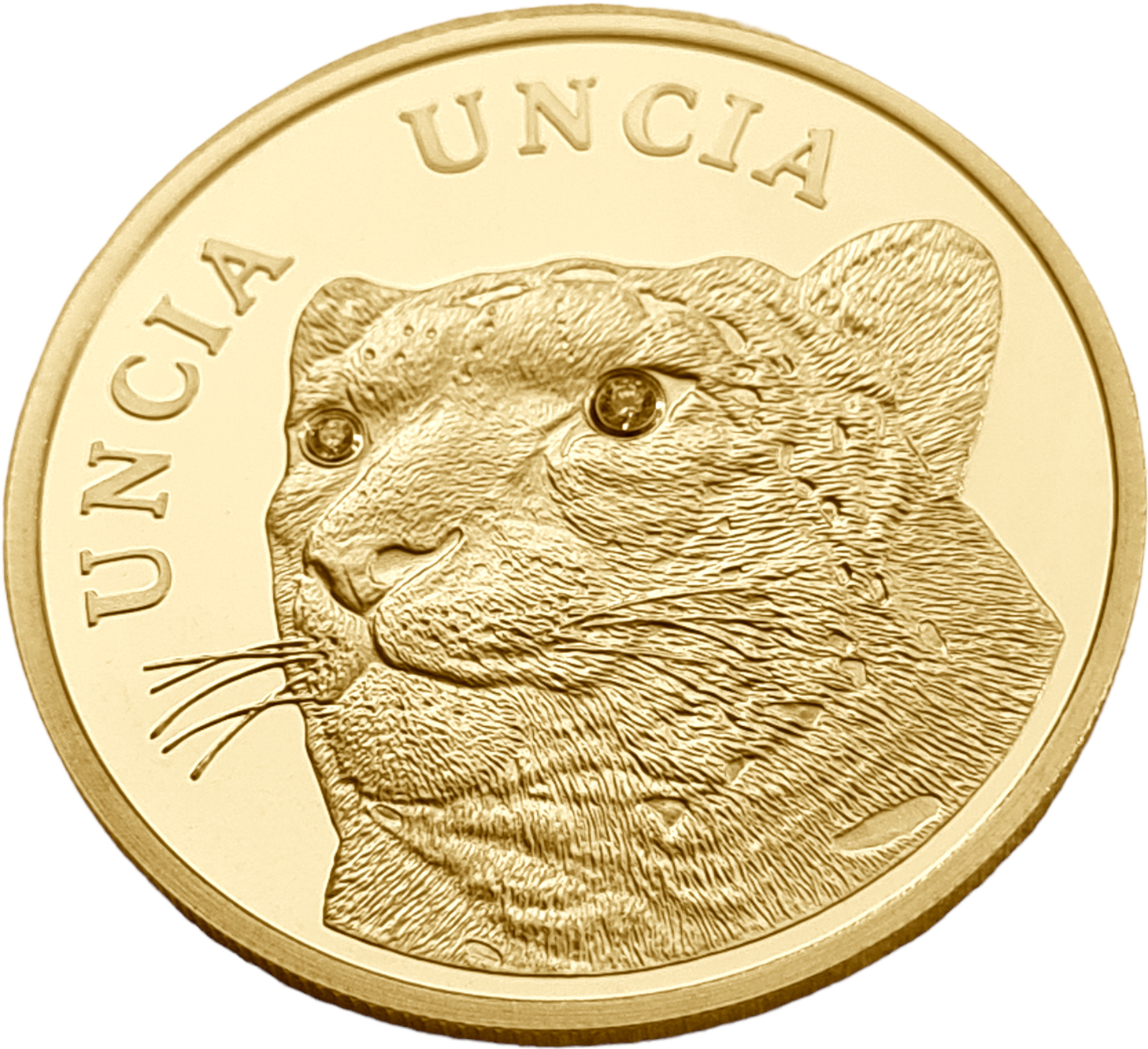 картинка Казахстан. 500 Тенге 2009 г. Золото. 7.78 г*0.999 0.25 oz. Снежный Барс! 2 Бриллианта! от магазина Одежда+