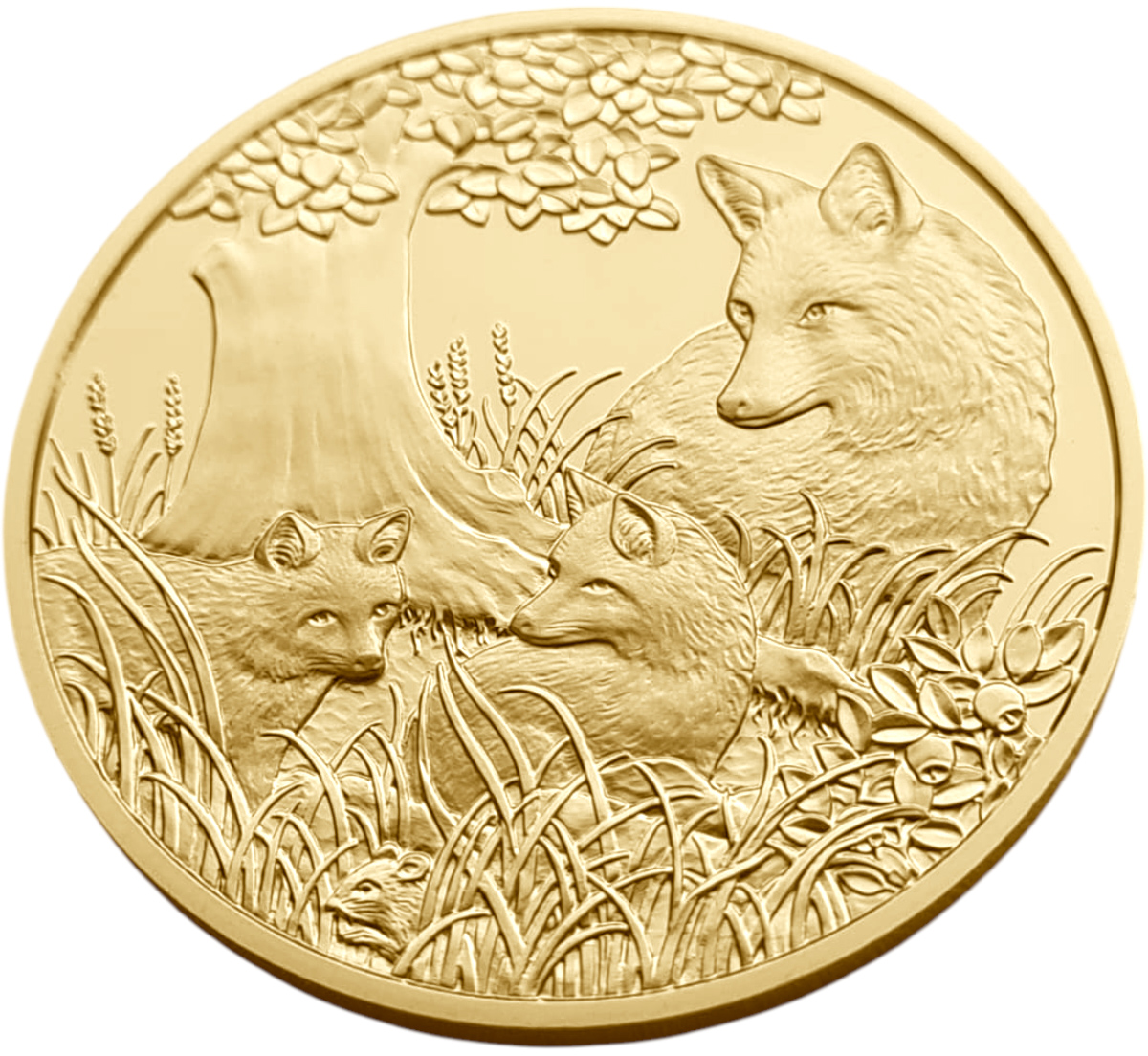 картинка Австрия. 100 Евро 2016 г. Золото. 16.23 г*0.986 0.5145 oz. Лиса! от магазина Одежда+