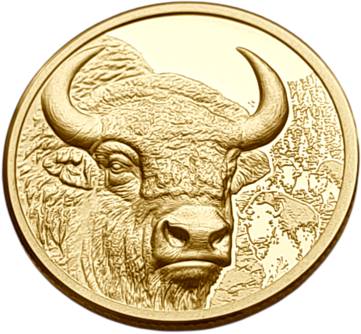 картинка Монголия. 1000 Тугриков 2025г. Золото. 3.11г*0.9999 0.1 oz. Блистер Монетного Двора! Бизон! Высокий Рельеф! от магазина Одежда+