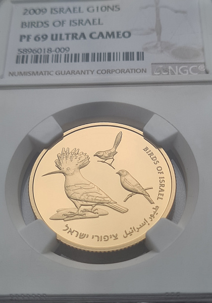 картинка Израиль. 10 Шекелей 2009 г. Золото. 16.96 г*0.917 0.5 oz. Птицы Израиля! СЛАБ NGC PF 69 ULTRA CAMEO! от магазина Одежда+ 3