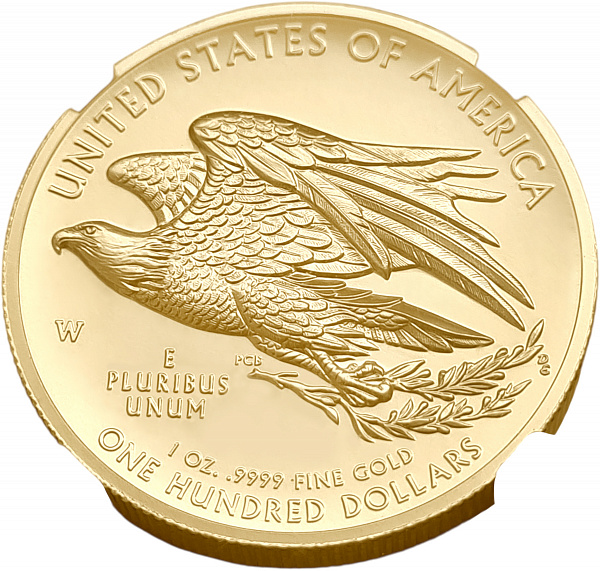картинка США. 100 Долларов 2015 г. Золото. 31.1035 г*0.9999 1.0 oz. Свобода! Высокий Рельеф! СЛАБ NGC MS 70! от магазина Одежда+ 3